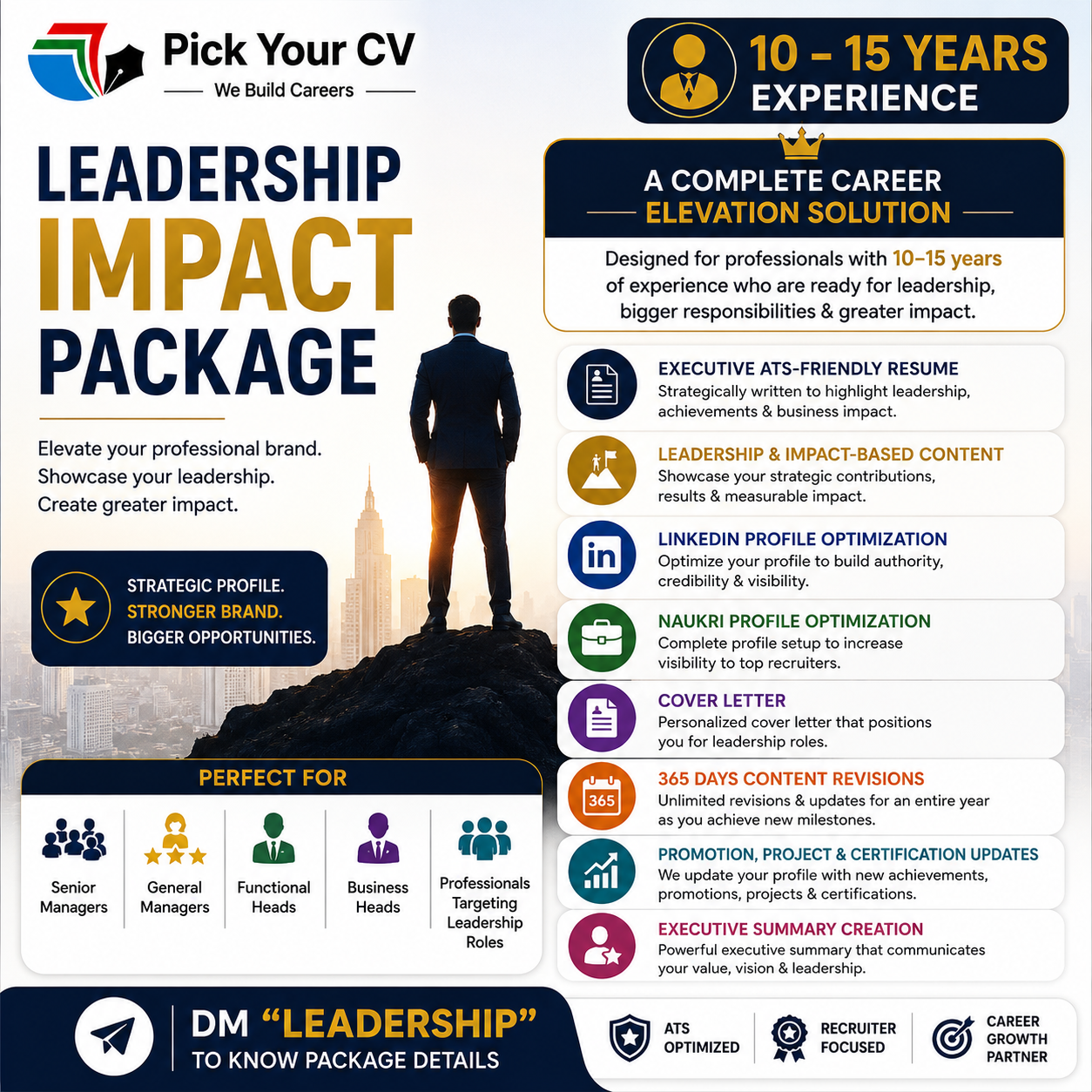 Career Leadership Package (10-15 yrs) - Pick Your CV